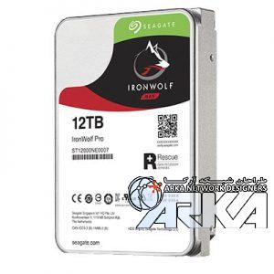 12TB IronWolf
