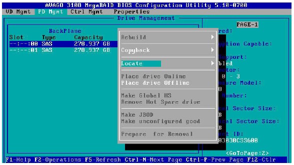 Avago-MegaRAID-configuration-utility-PD-Mgmt-commands